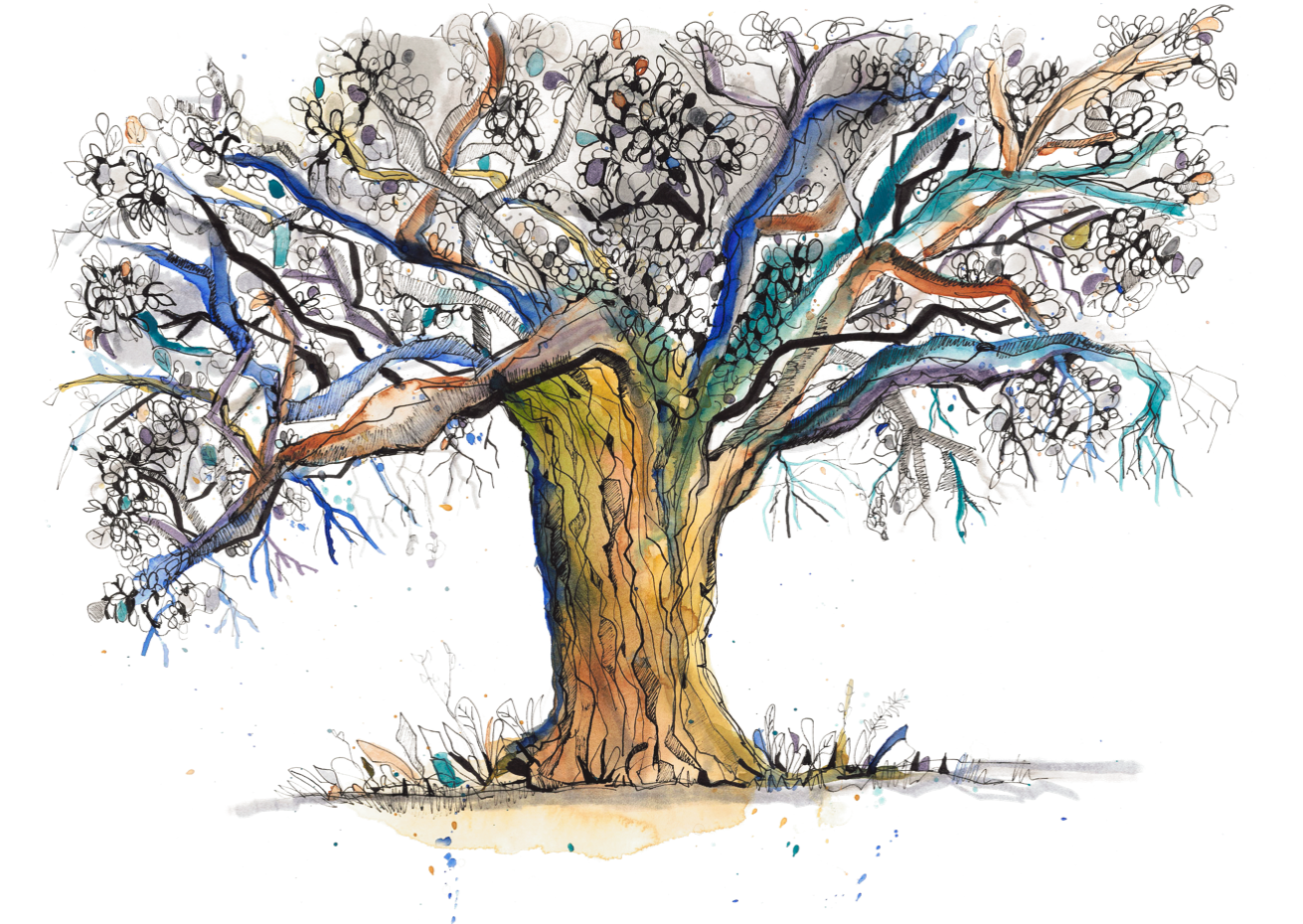 The Alamo Oak Tree Print